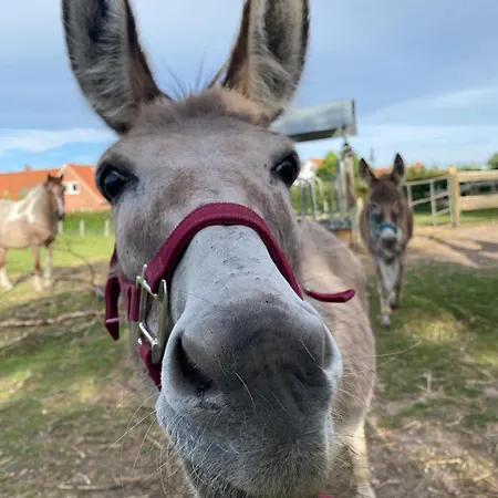 Kluvetasch Nr 4 Ostseeblick *