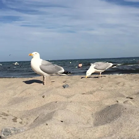 Apartmán Kluvetasch Nr 4 Ostseeblick Rettin