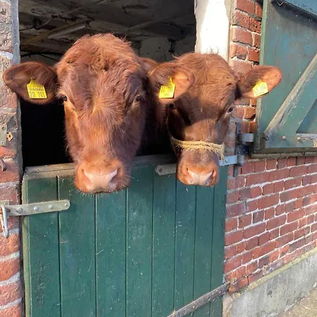 Kluvetasch Nr 4 Ostseeblick